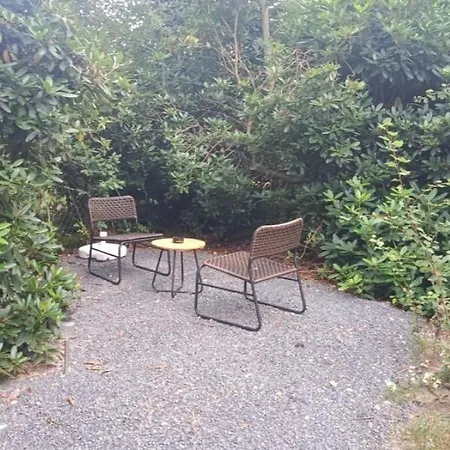 Waldlicht 3 * Bremervörde