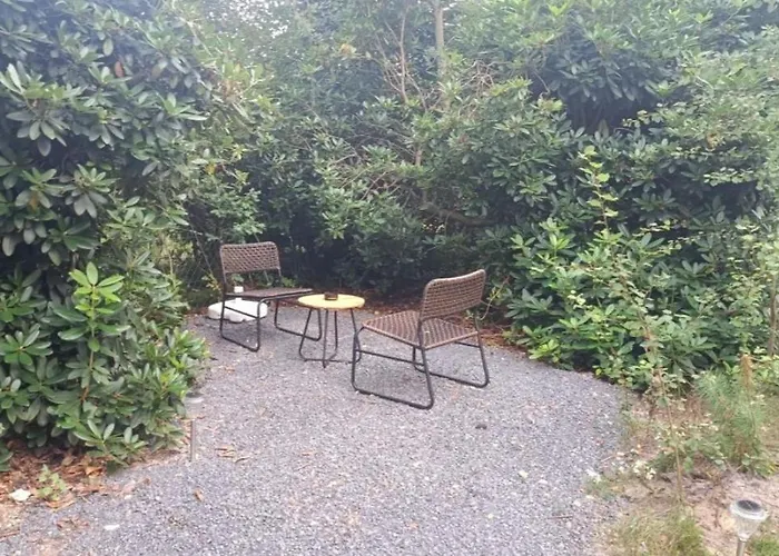 Waldlicht 3 * Bremervörde